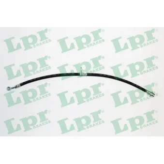 Flexible de frein LPR 6T48748