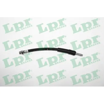Flexible de frein LPR 6T49020