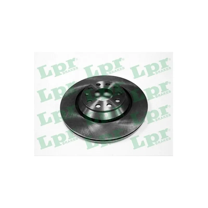 Jeu de 2 disques de frein arrière LPR A1014V