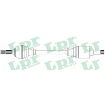 Arbre de transmission LPR DS16175