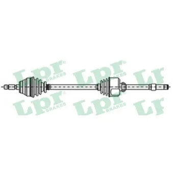 Arbre de transmission LPR DS20191