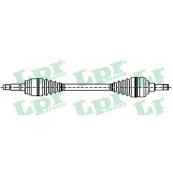 Arbre de transmission LPR DS21030