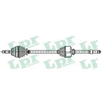 Arbre de transmission LPR DS21070