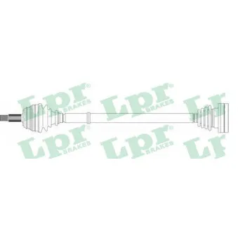 Arbre de transmission LPR DS51043