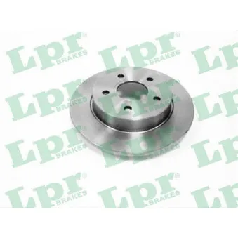 Jeu de 2 disques de frein arrière LPR F1013PR