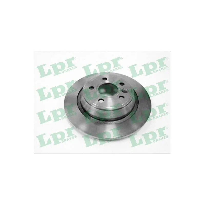 Jeu de 2 disques de frein arrière LPR F1018P