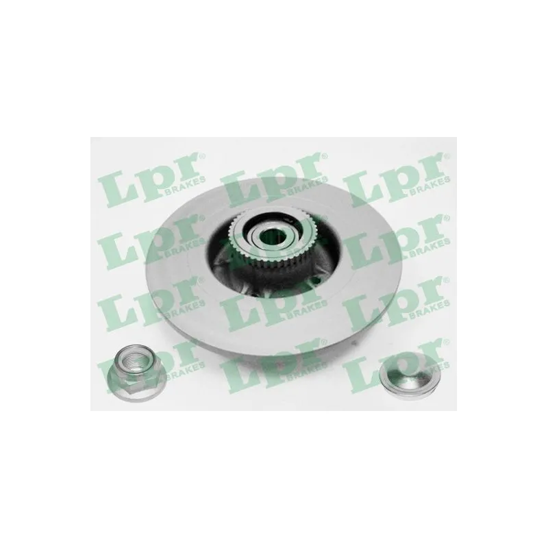 Jeu de 2 disques de frein arrière LPR R1009PRCA