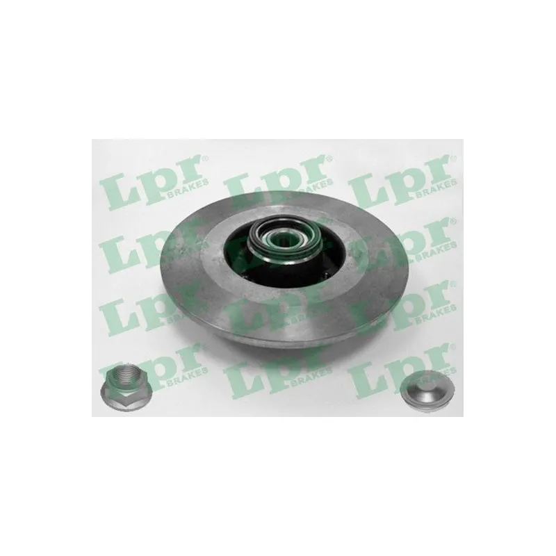 Jeu de 2 disques de frein arrière LPR R1019PCA