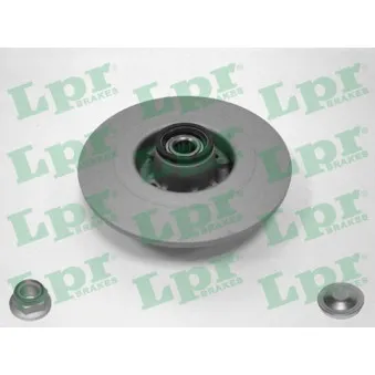 Jeu de 2 disques de frein arrière LPR R1030PRCA