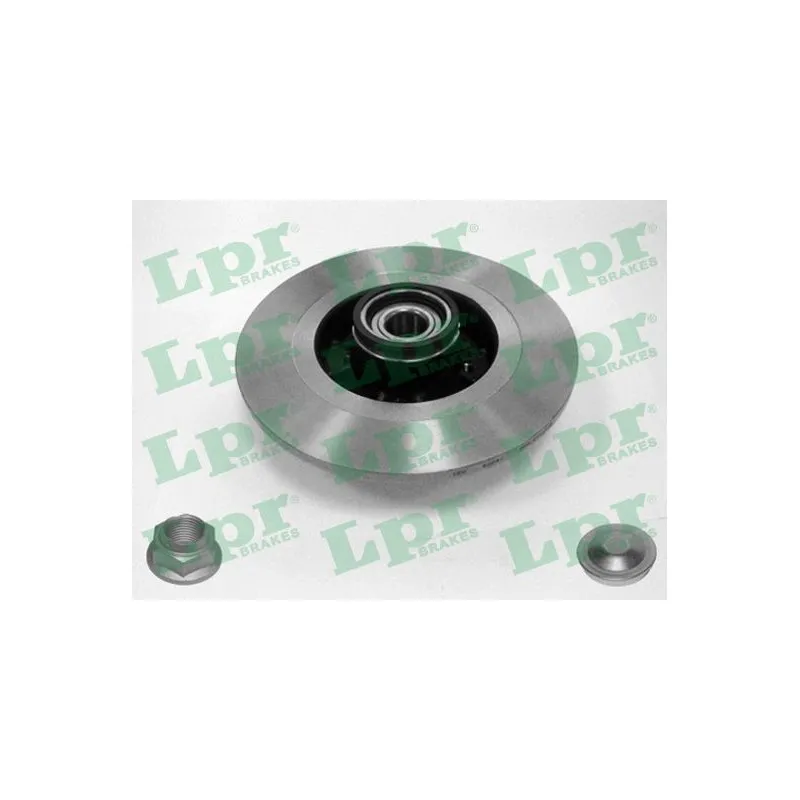 Jeu de 2 disques de frein arrière LPR R1031PCA