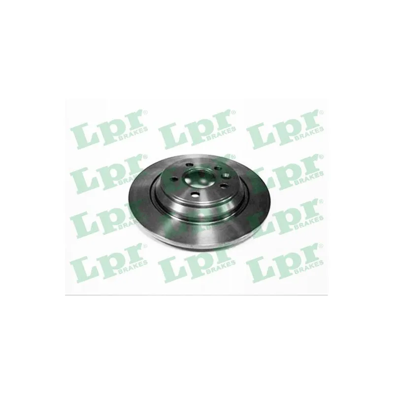 Jeu de 2 disques de frein arrière LPR V1009P
