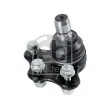 Rotule de suspension FEBI BILSTEIN 02271 - Visuel 2