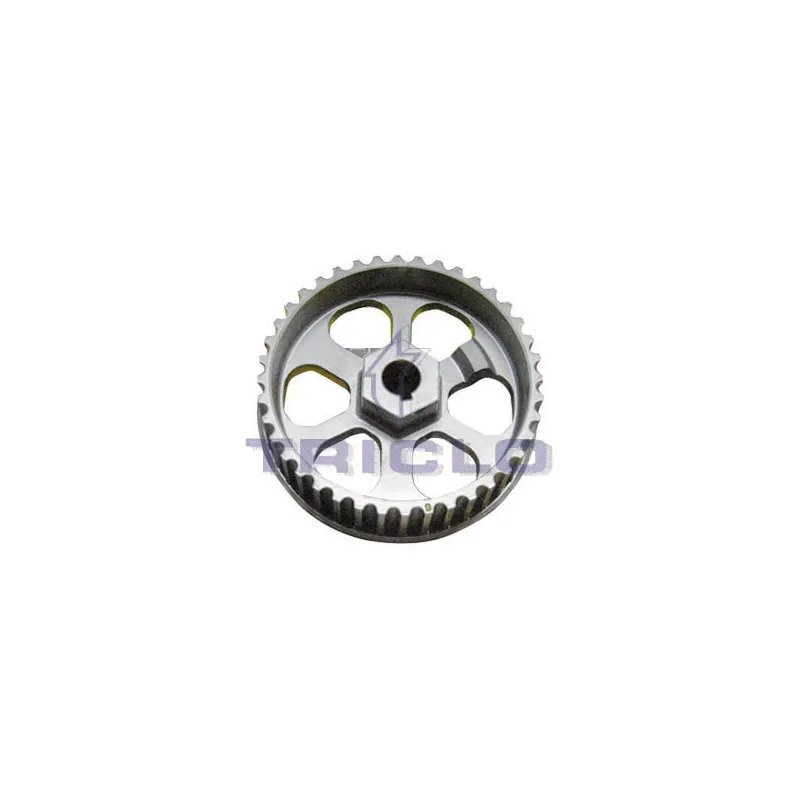 Pignon, pompe d'injection TRICLO 425698