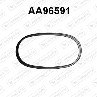 Bague d'étanchéité, tuyau d'échappement VENEPORTE AA96591