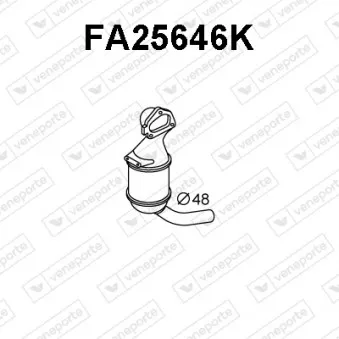 Catalyseur VENEPORTE FA25646K