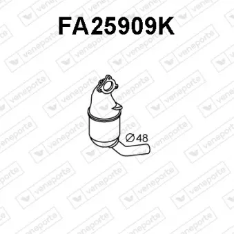 Catalyseur VENEPORTE FA25909K