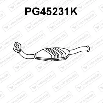 Catalyseur VENEPORTE PG45231K