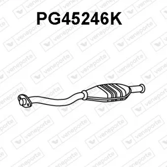 Catalyseur VENEPORTE PG45246K
