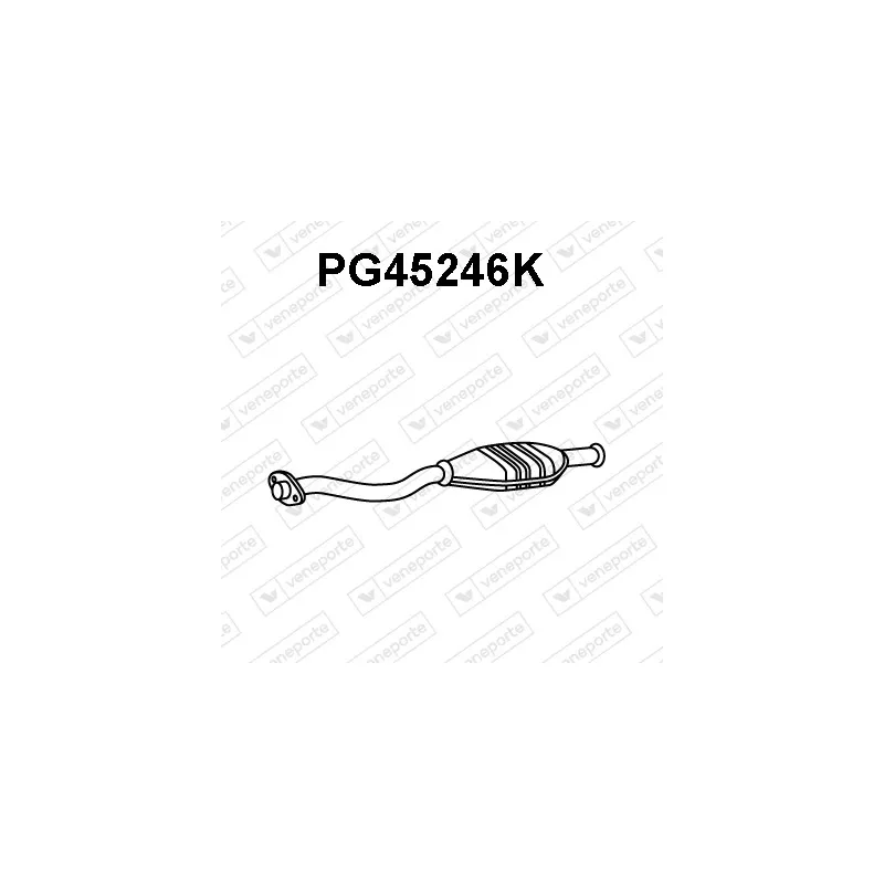 Catalyseur VENEPORTE PG45246K