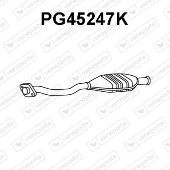 Catalyseur VENEPORTE PG45247K