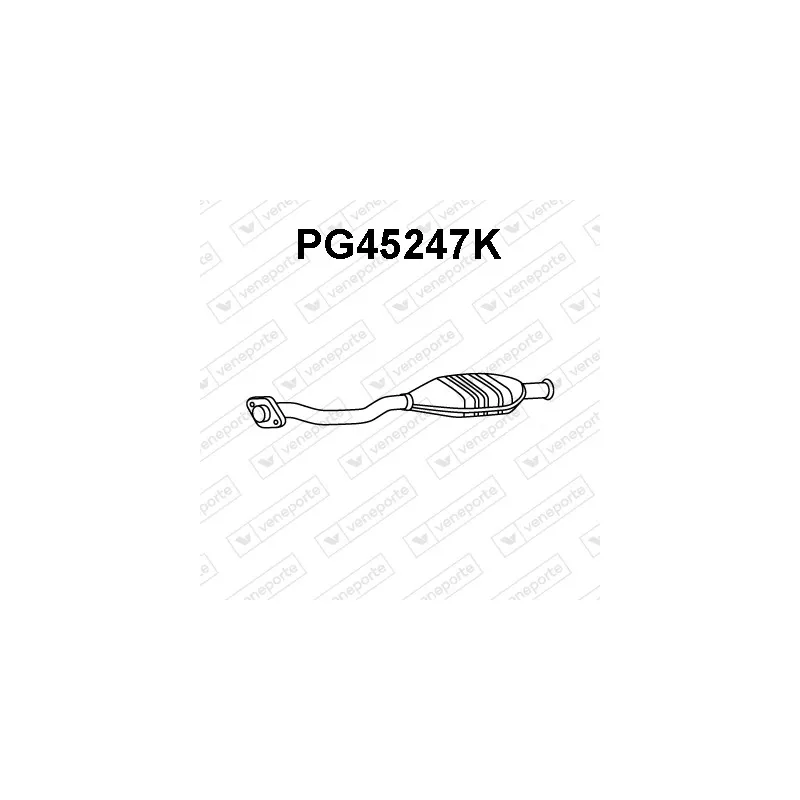 Catalyseur VENEPORTE PG45247K