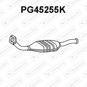 Catalyseur VENEPORTE PG45255K