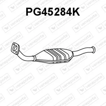 Catalyseur VENEPORTE PG45284K