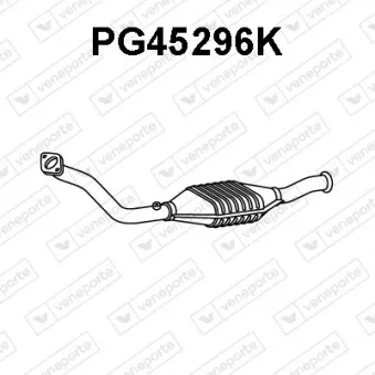 Catalyseur VENEPORTE PG45296K