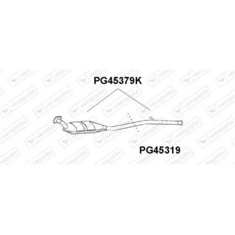Tube de réparation, catalyseur VENEPORTE PG45319