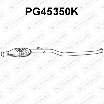 Catalyseur VENEPORTE PG45350K