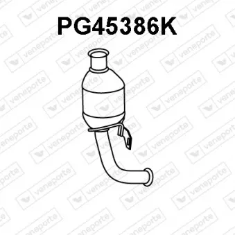 Catalyseur VENEPORTE PG45386K