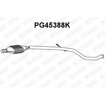 Catalyseur VENEPORTE PG45388K
