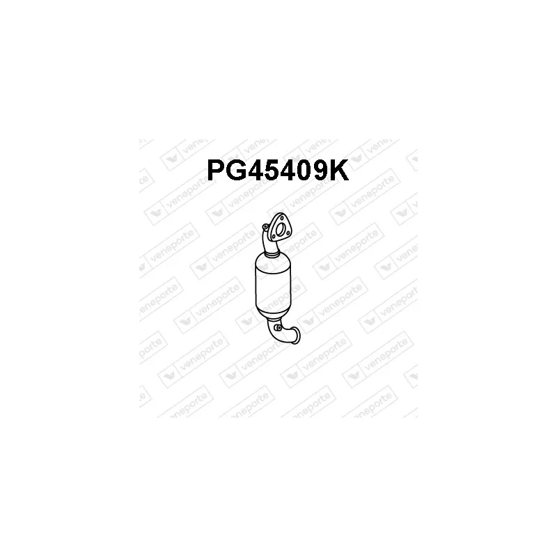 Catalyseur VENEPORTE PG45409K