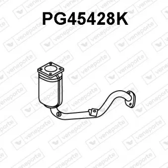Catalyseur VENEPORTE PG45428K