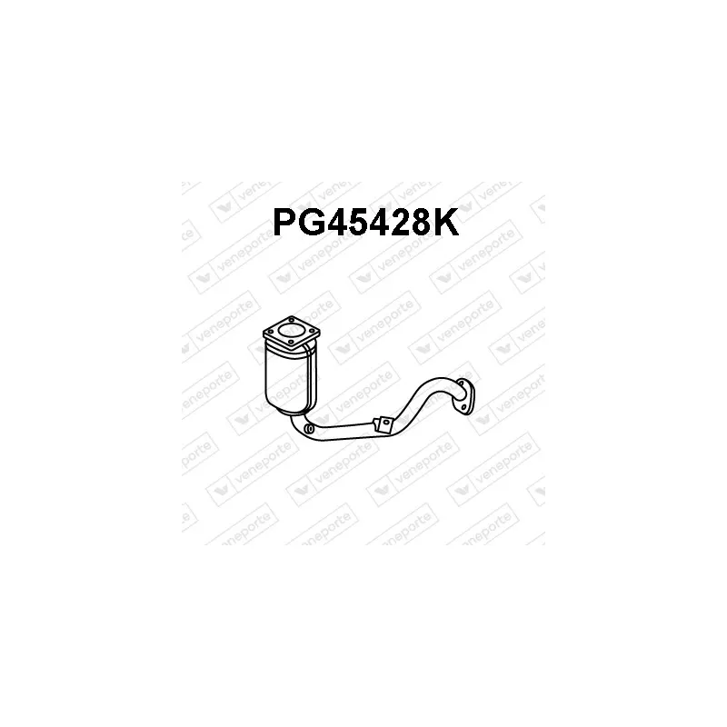Catalyseur VENEPORTE PG45428K
