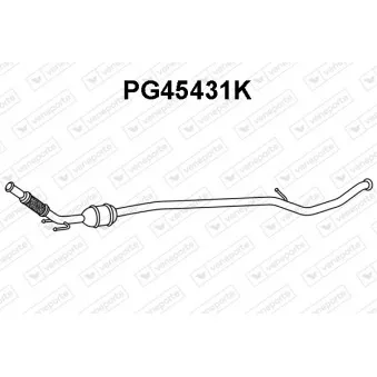 Catalyseur VENEPORTE PG45431K