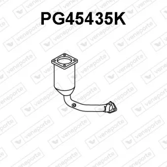 Catalyseur VENEPORTE PG45435K