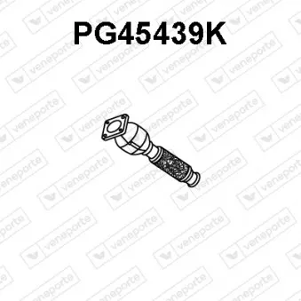 Catalyseur VENEPORTE PG45439K