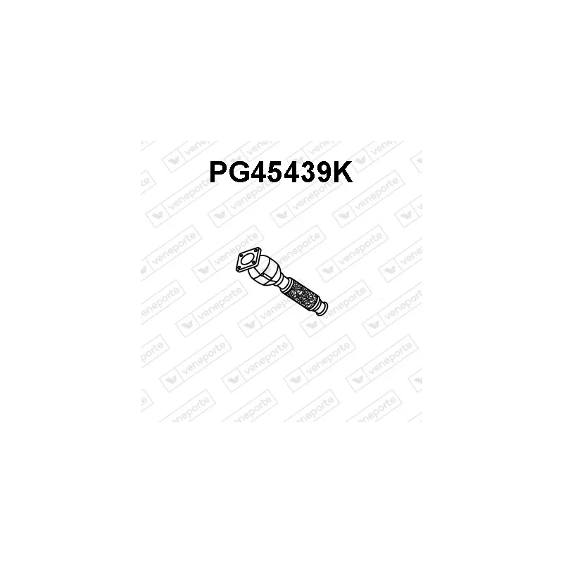 Catalyseur VENEPORTE PG45439K