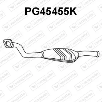 Catalyseur VENEPORTE PG45455K