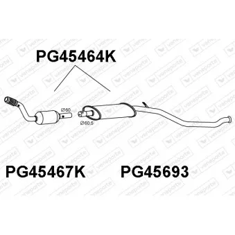 Catalyseur VENEPORTE PG45464K