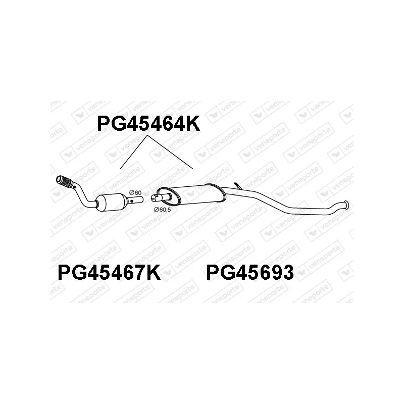 Catalyseur VENEPORTE PG45464K