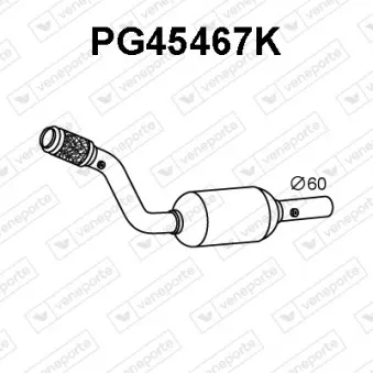 Catalyseur VENEPORTE PG45467K