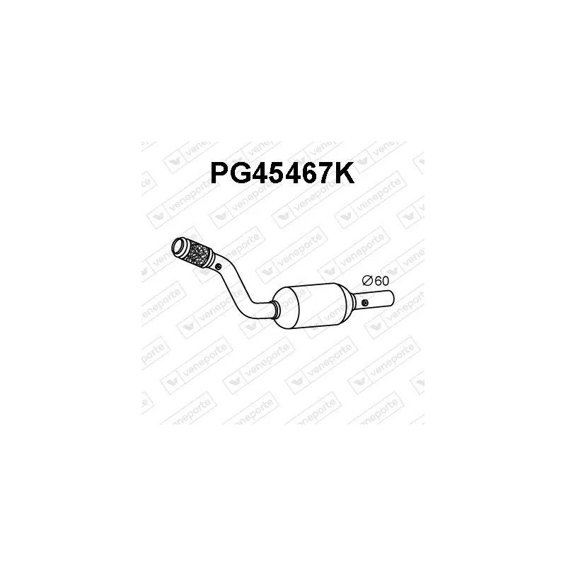 Catalyseur VENEPORTE PG45467K