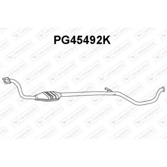 Catalyseur VENEPORTE PG45492K