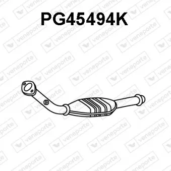Catalyseur VENEPORTE PG45494K