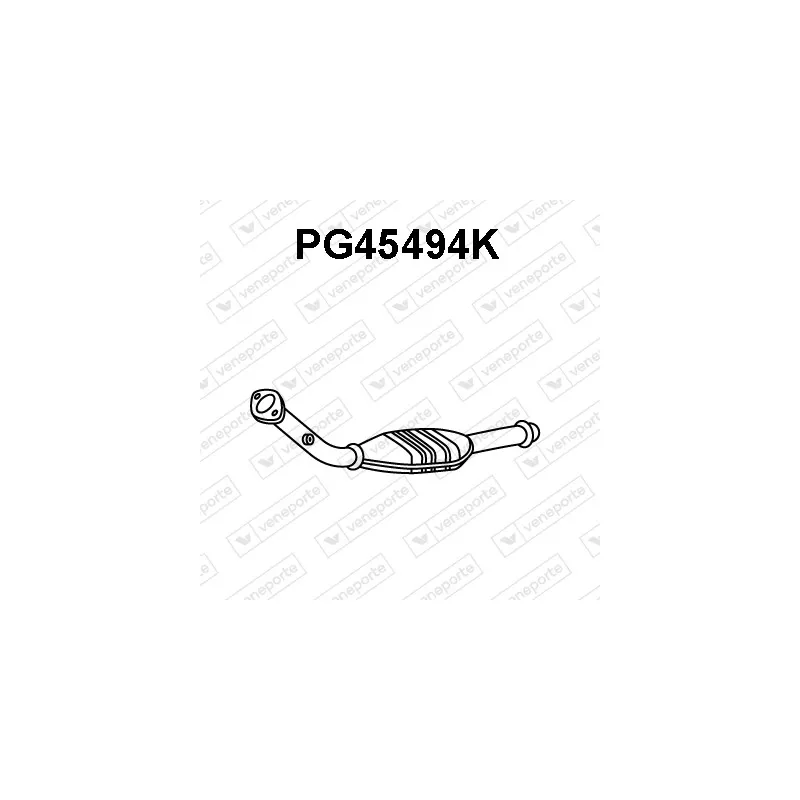 Catalyseur VENEPORTE PG45494K