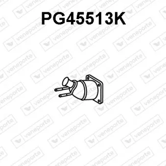 Catalyseur VENEPORTE PG45513K