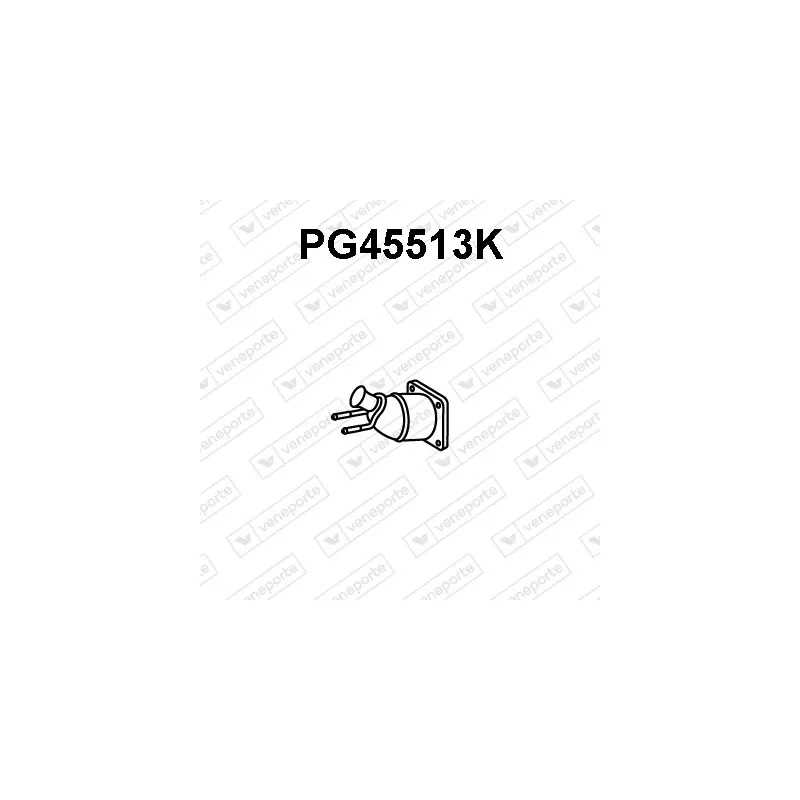 Catalyseur VENEPORTE PG45513K