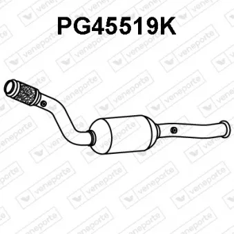 Catalyseur VENEPORTE PG45519K